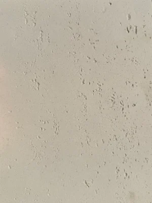 חיפוי טרוורטין אבן – NAVONA