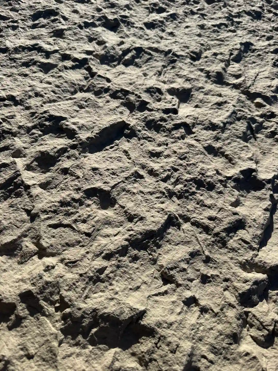 חיפוי אבן במראה פראי – LUNAR